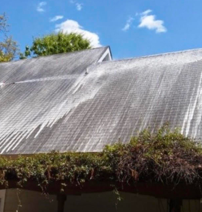 Roof Cleaning